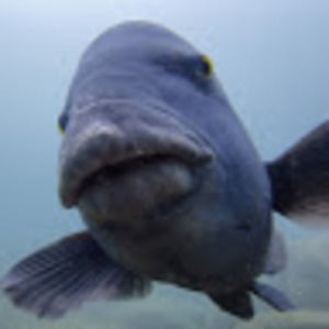 Meet your Posher, Kyla